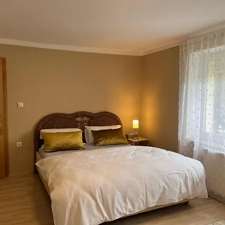 Mit Dachterasse Apartment Absberg